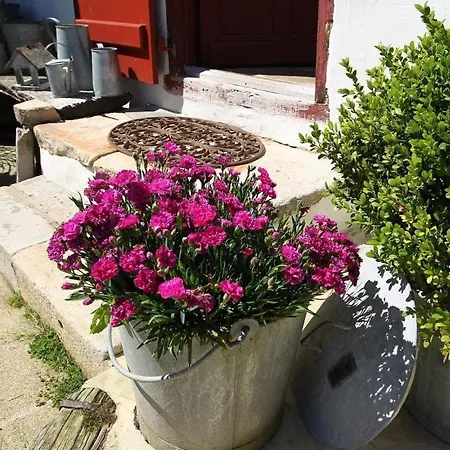 Maison Errotenia * Ascain